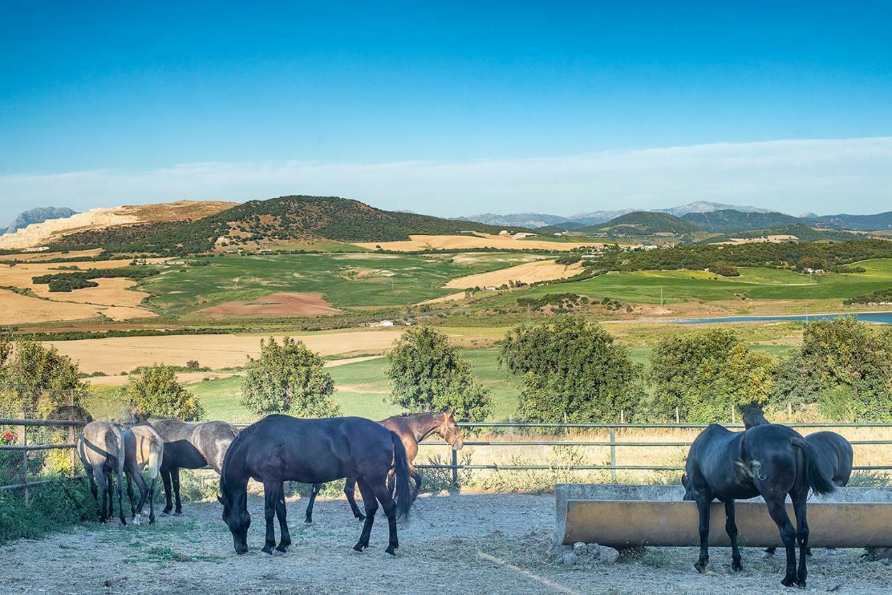 Alterhome Private Villa Cortijo Sierra Y Lago Arcos de la Frontera Luaran gambar