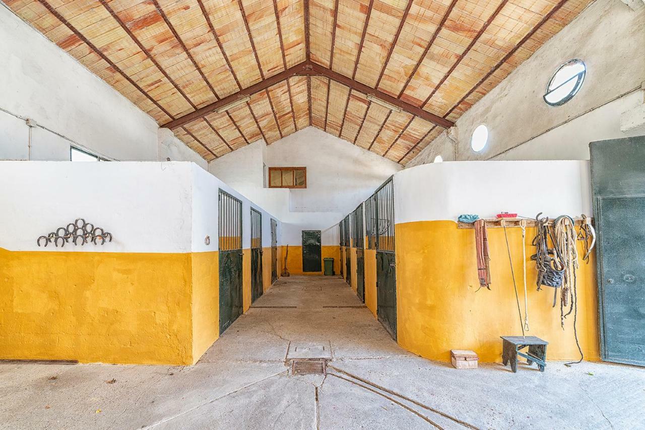 Alterhome Private Villa Cortijo Sierra Y Lago Arcos de la Frontera Luaran gambar